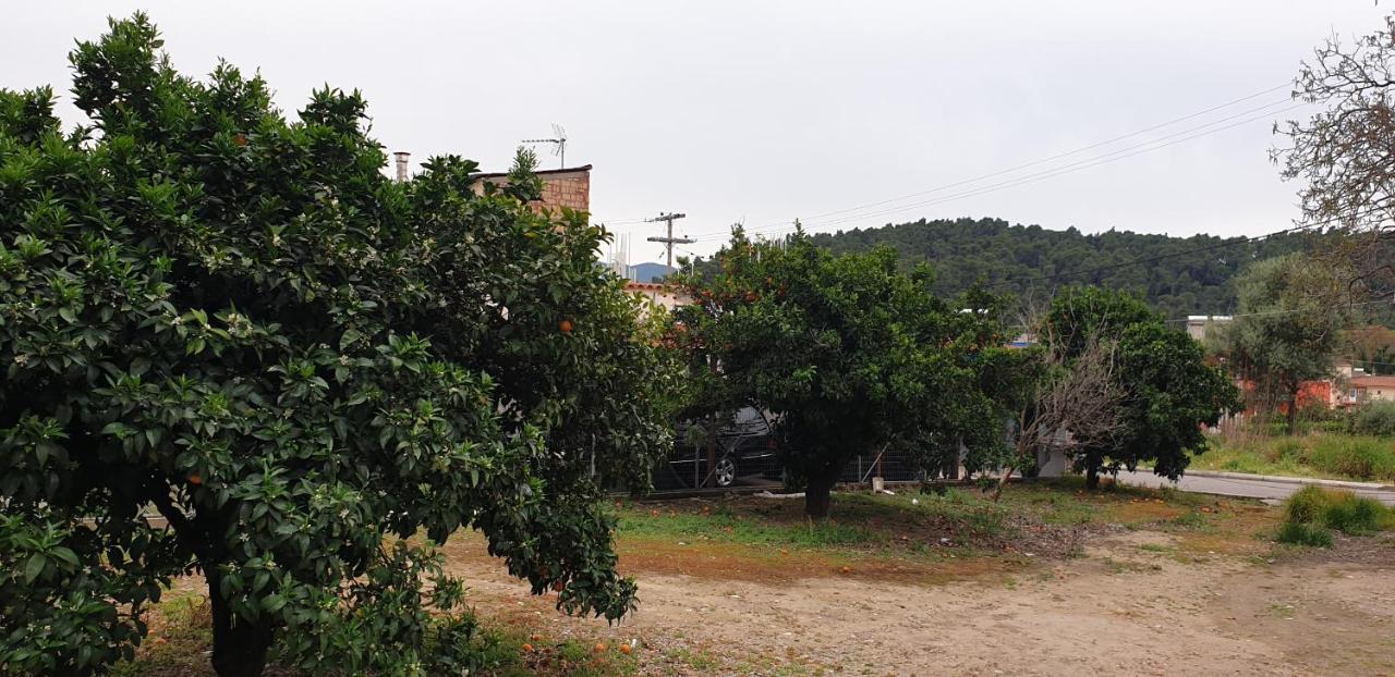 Walnut Home Apartment Near Ancient Olympia Крестена Экстерьер фото